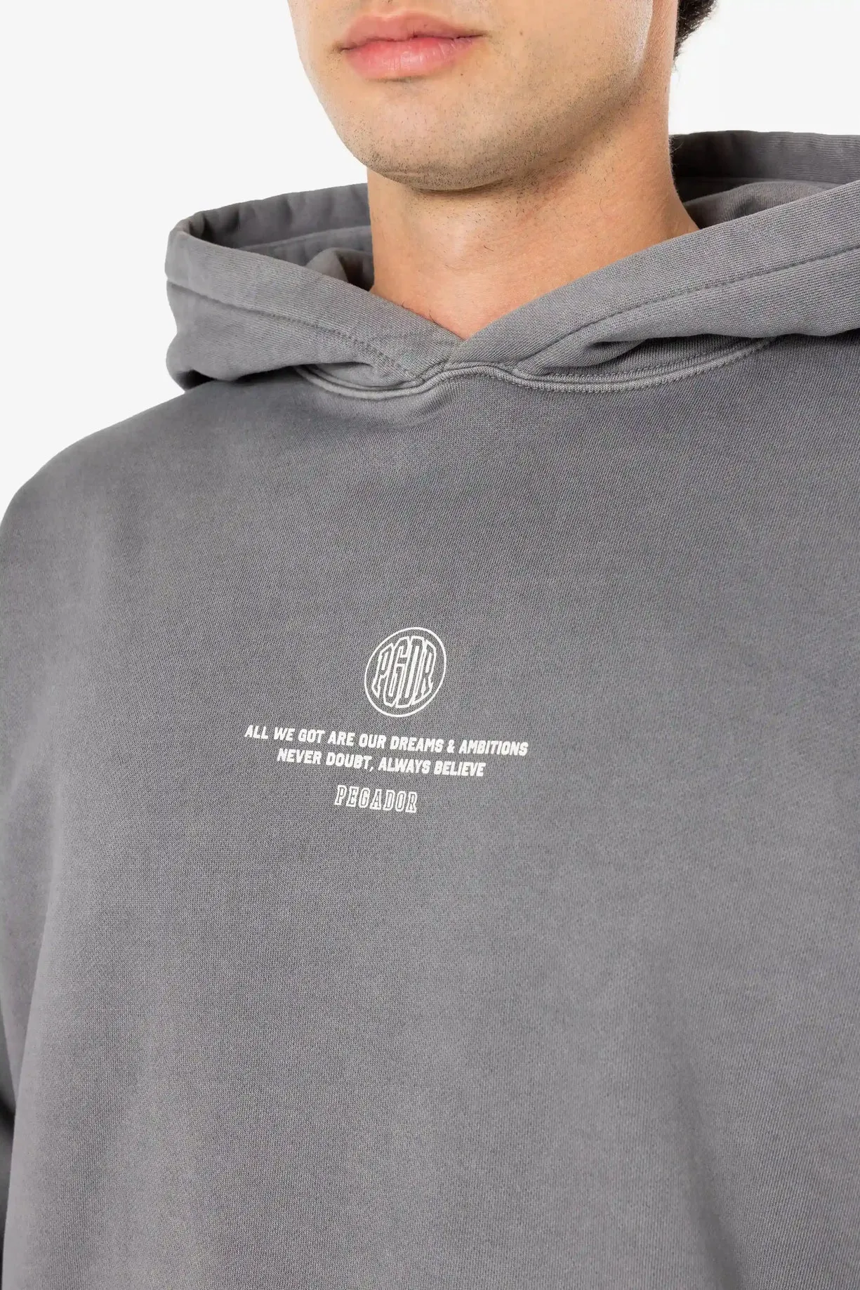 Pegador Baylor Oversized Vintage Grey Hoodie