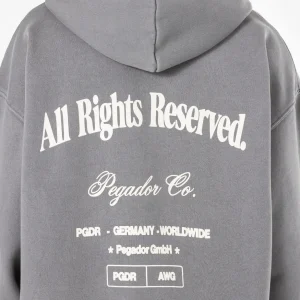 Pegador Colson Oversized Vintage Grey Hoodie