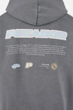 Pegador Sentinal Oversized Vintage Grey Hoodie