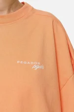 Berri Heavy Oversized Tee Washed Apricot-2