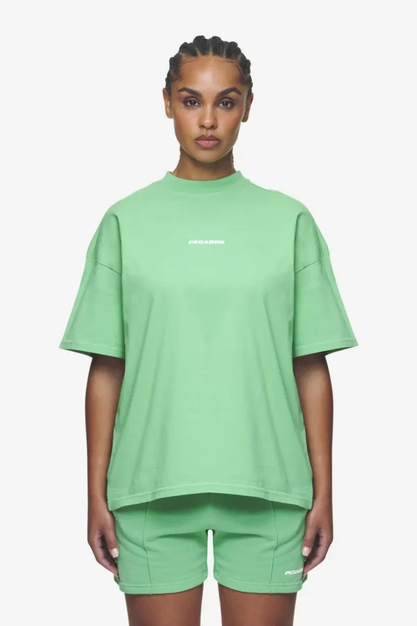 Bracy Heavy Oversized Tee Washed Peppermint Green White Gum