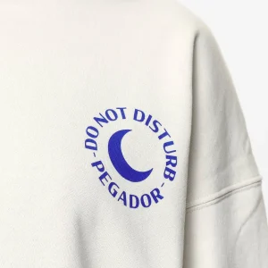 Ekne Oversized Hoodie Washed Salty Cream-2