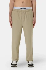 Karan Regular Smart Pants Beige