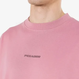 Logo Boxy Tee Washed Rust Pink Gum-2