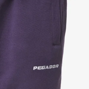 Logo Heavy Sweat Jogger Washed Deep Purple-2