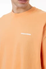 Logo Oversized Tee Washed Apricot White Gum-2