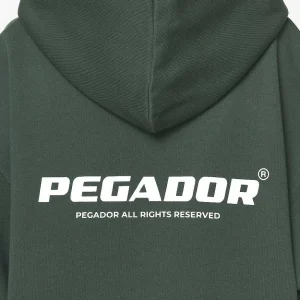 Malm Logo Oversized Hoodie Dress Washed Sage Green-2