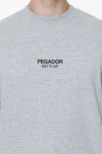 Mouncy Oversized Tee Grey Melange-2