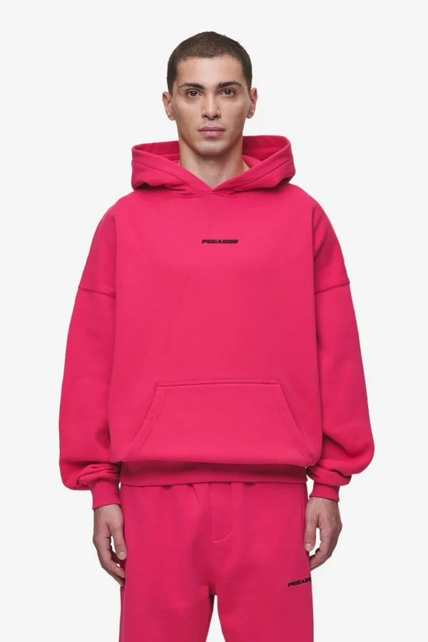 Pegador Logo Boxy Washed Virtual Pink Hoodie