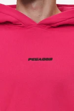 Pegador Logo Boxy Washed Virtual Pink Hoodie