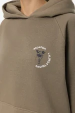 Roya Oversized Raglan Hoodie Washed Desert Taupe-2