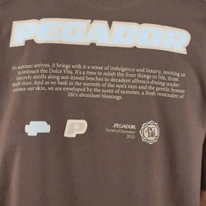 Sentina Oversized Tee Washed Cozy Brown-2